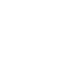 Social Icon